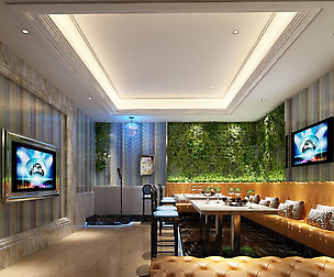 party bar ktv sauna design complete 132