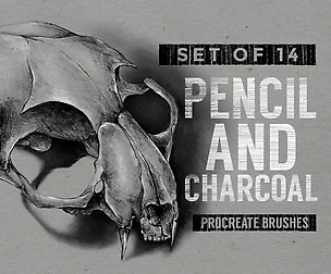 Pencil & Charcoal Procreate brushes