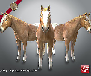 Male Horse A TPose