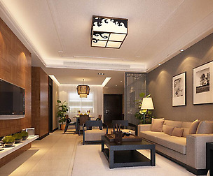 Luxury stylish interior living room - 05