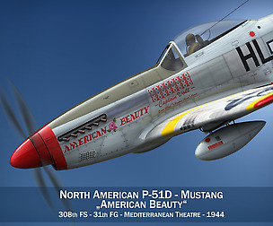 North American P-51D - American Beauty