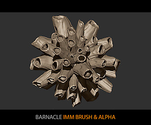Barnacle IMM brush and Alpha