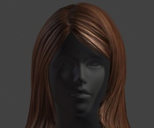 hair style 14