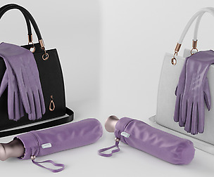 handbag, gloves, umbrella