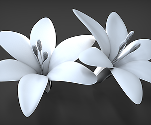 ZFlower