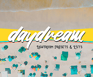 Daydream Lightroom Presets and LUTS