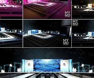Carnival stage 12