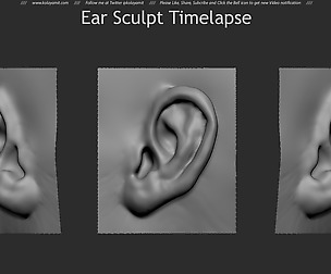 Ear Sculpt Timelapse