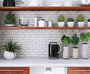 VOLUME 50 3D PLANTS III