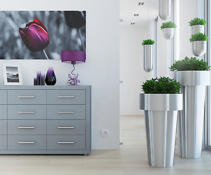 3D PLANTS IV – VOLUME 60