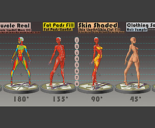 Anatomy Template