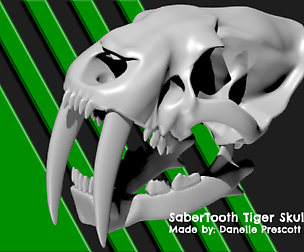 SaberTooth Tiger Skull [For High poly 3D Print]