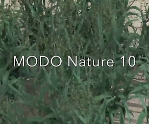 MODO Nature 10