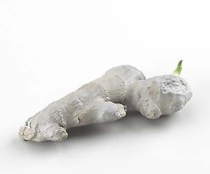 Photorealistic Ginger