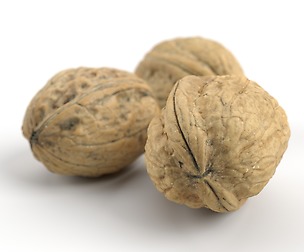 Three Different Photorealistic Walnuts