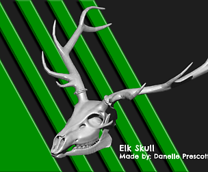 Elk Skull [For 3D Print]