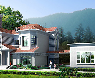 City - alone Villa  11144