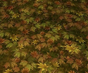 ground leaf tile 4