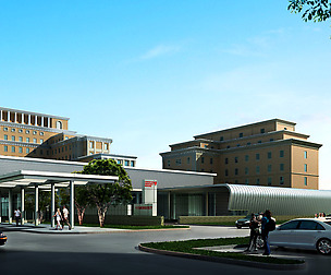 3D Building  297