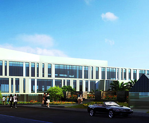3D Building 303