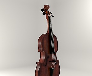 Violin
