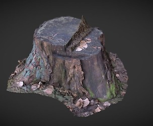 3d Scanned Gameready Woodtrunk (5k Polys)