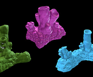 Cavern terrain alien lifeform 1 x3