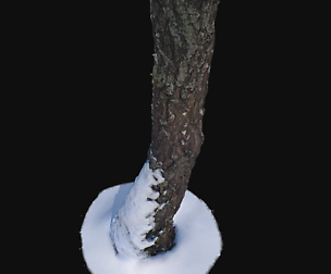 Photoscan Birch trunk with snow 5 VR