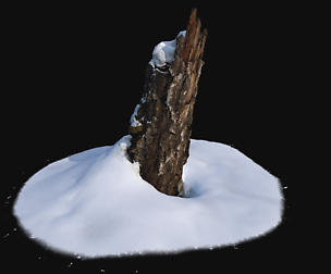 Photoscan Stump with snow 1 VR