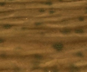ground sand tile  7