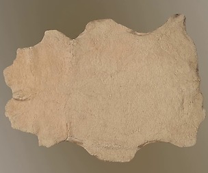 Sheepskin