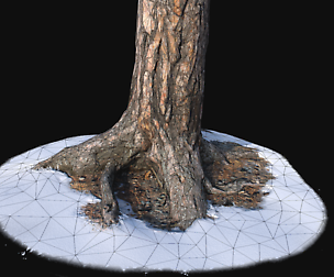Pine trunk with snow 1 VR