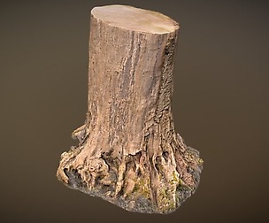 Stump