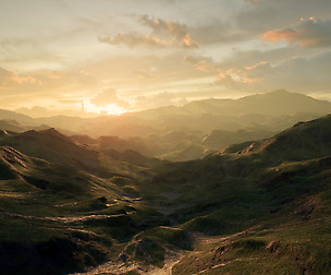 [UE4] High Grass Landscape v2.0