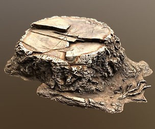 Stump