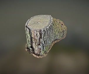 Stump
