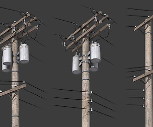 Telegraph Pole