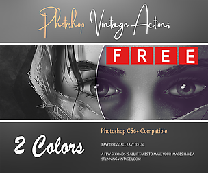 VINTAGE EFFECT ACTION PRO