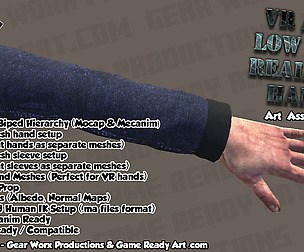 VR / FPS Low Poly Realistic Hands