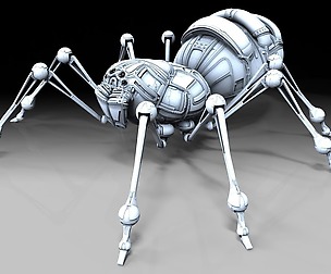 Spider