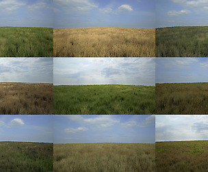 [UE4] Advanced Grass Material