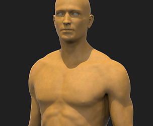 Male Basemesh