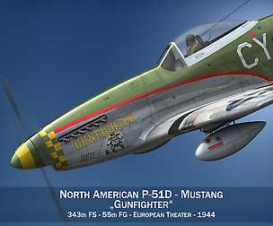 North American P-51D - Gunfighter