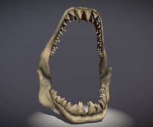 Sharkteeth