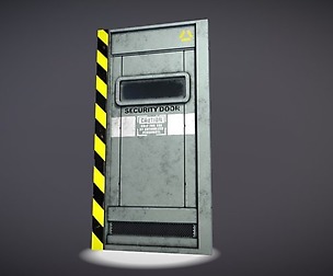 Security Door