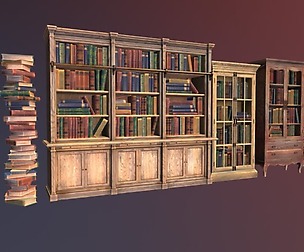 Bookcases and books