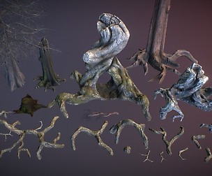 Snags and roots