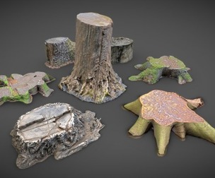 7 TREE STUMPS
