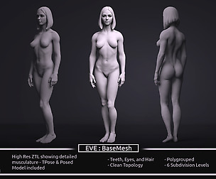 Female BaseMesh - Eve - ZTool
