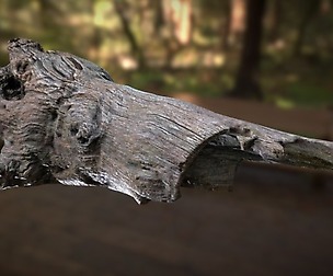 Dead Tree